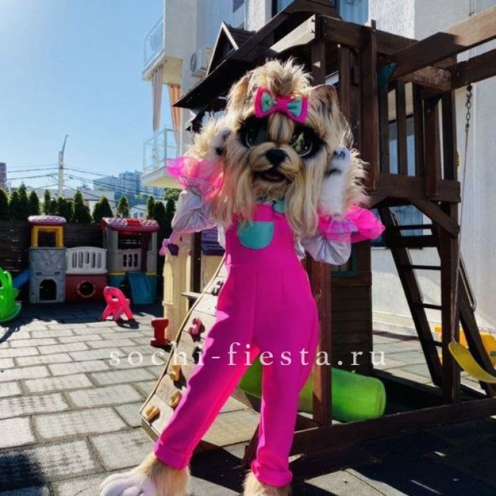 Аниматор Гламурная Собака в Саратове