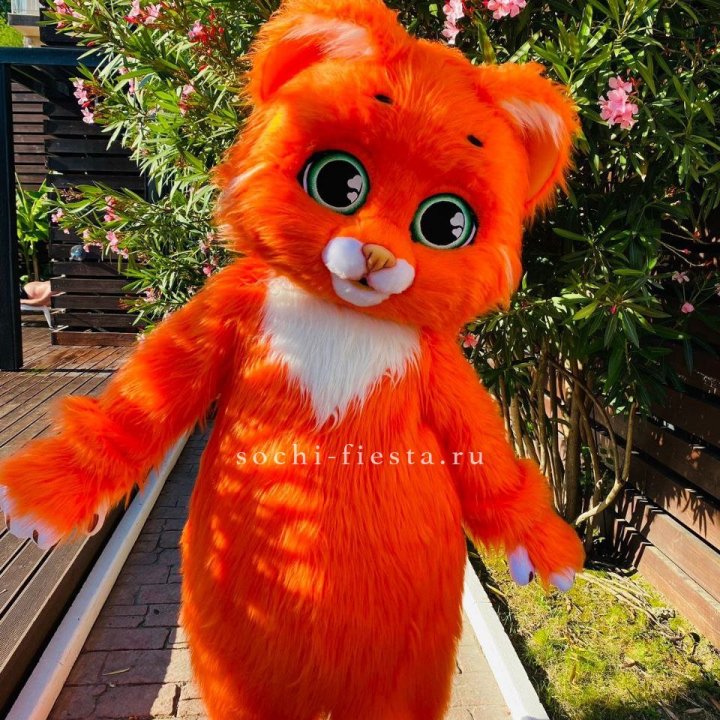 Аниматор Котик в Саратове