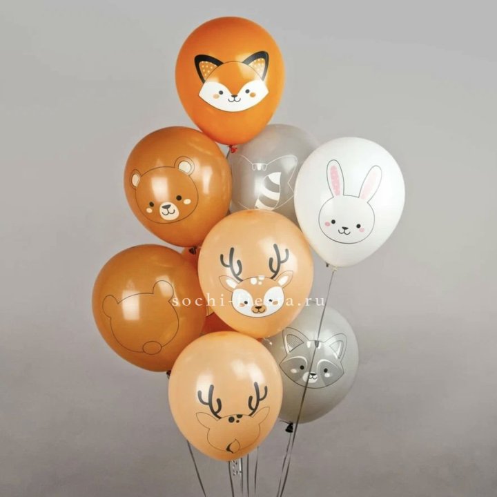 Воздушный шар "Животные" в Саратове