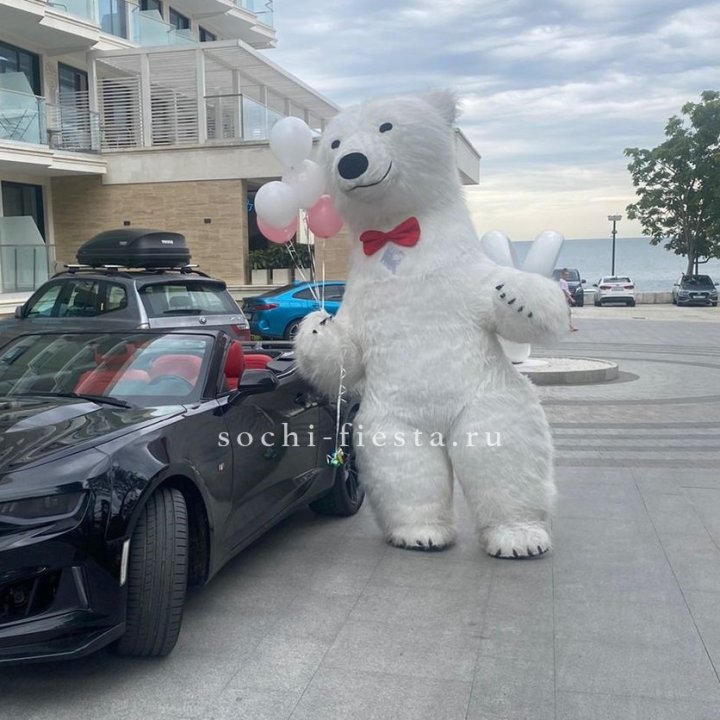 Аниматор Белый Медведь в Саратове