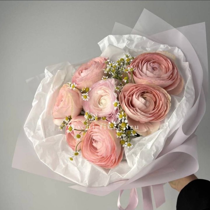 Ранункулюсы с ромашками в Саратове