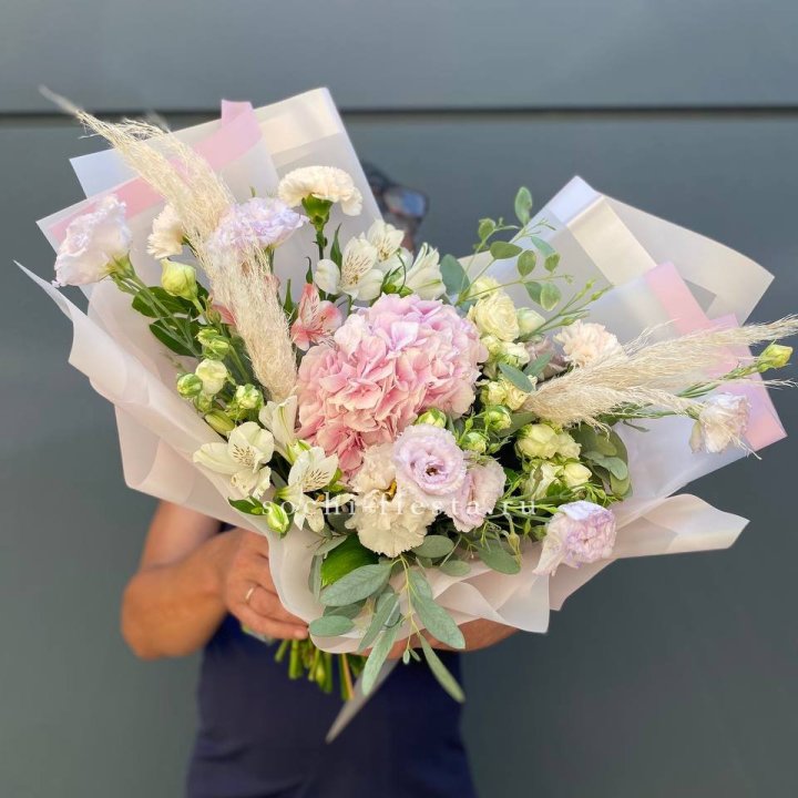 Гортензия "Пинк флоид" в Саратове