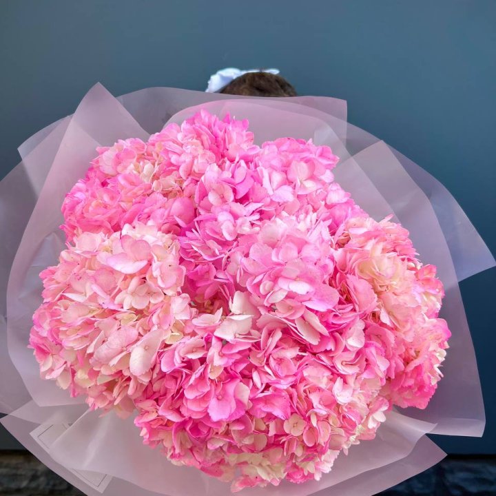 9 ярко розовых гортензий в Саратове