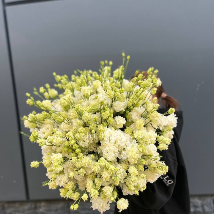 51 белая эустома в Саратове