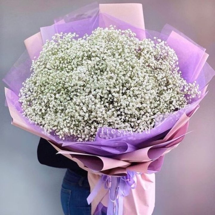 Облако белых гипсофил в Саратове