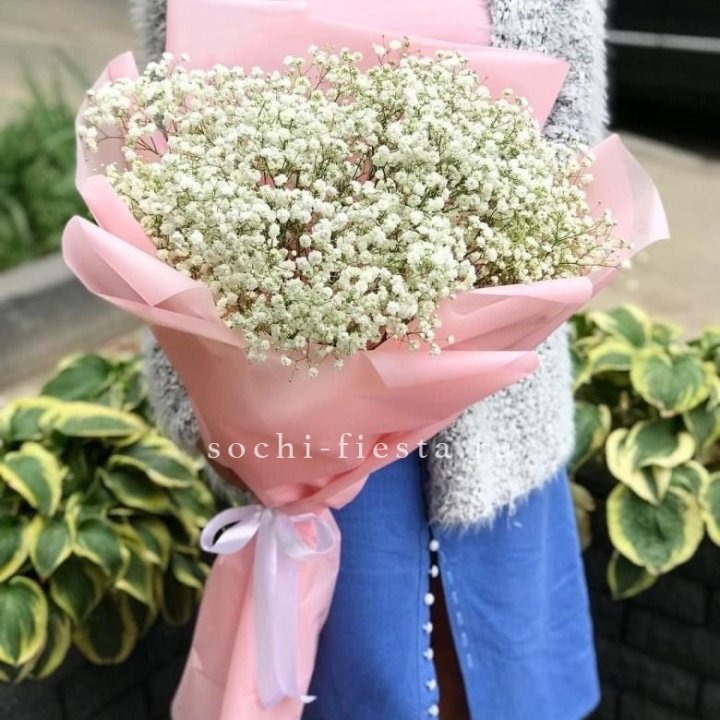 Белоснежные гипсофилы в Саратове