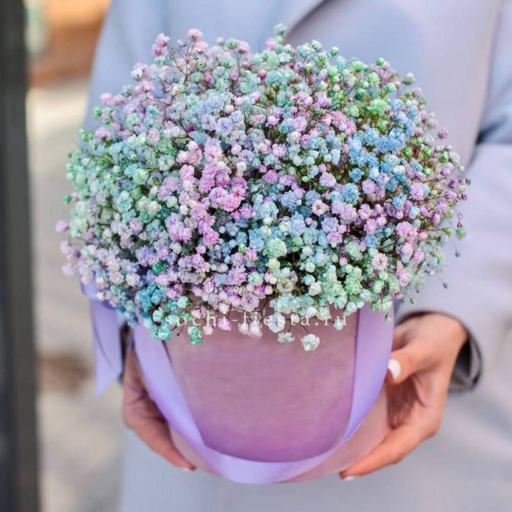 Гипсофилы в шляпной коробке "Кандилайт" в Саратове