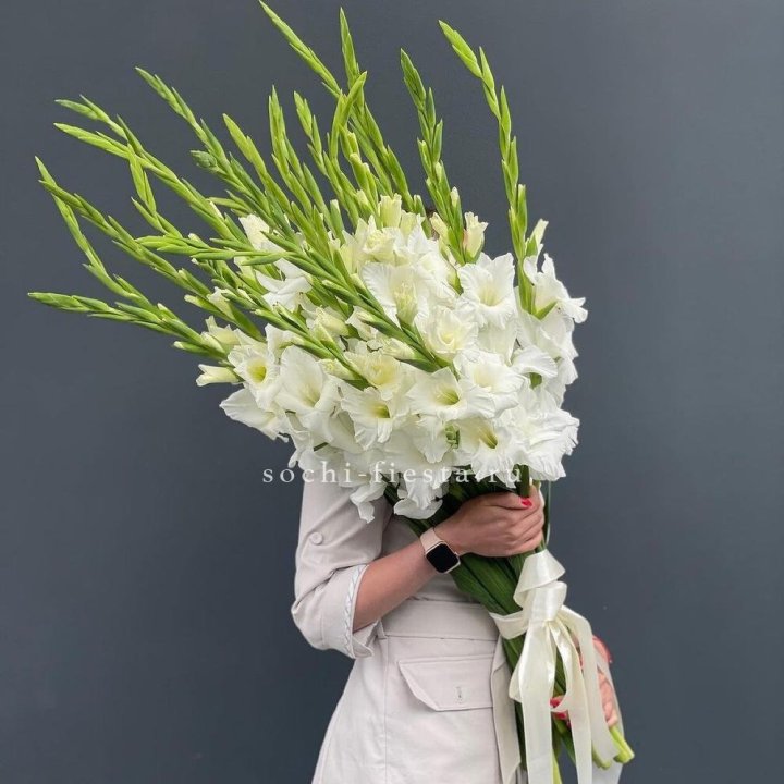 19 белых гладиолусов под ленту в Саратове