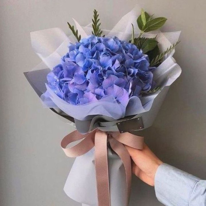 Гортензия голубая в Саратове