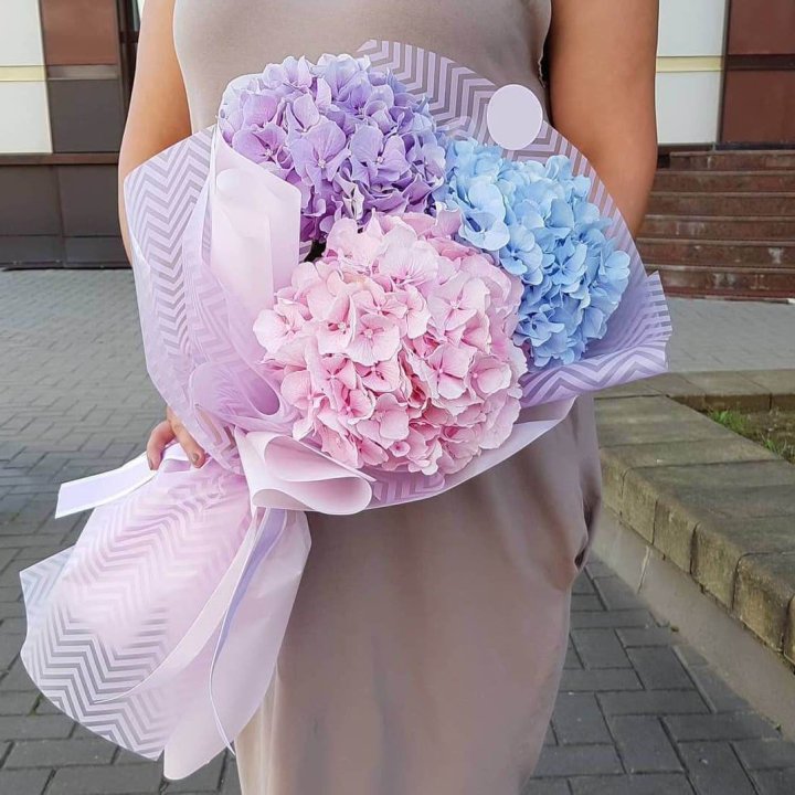 Букет гортензий "Пуф" в Саратове