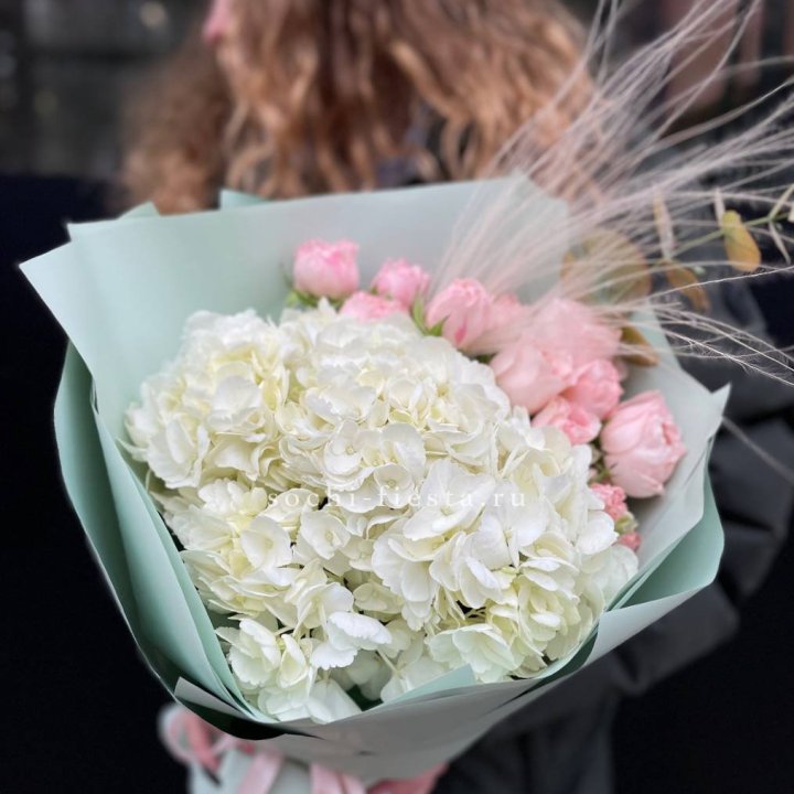 Гортензия "Жасмин" в Саратове