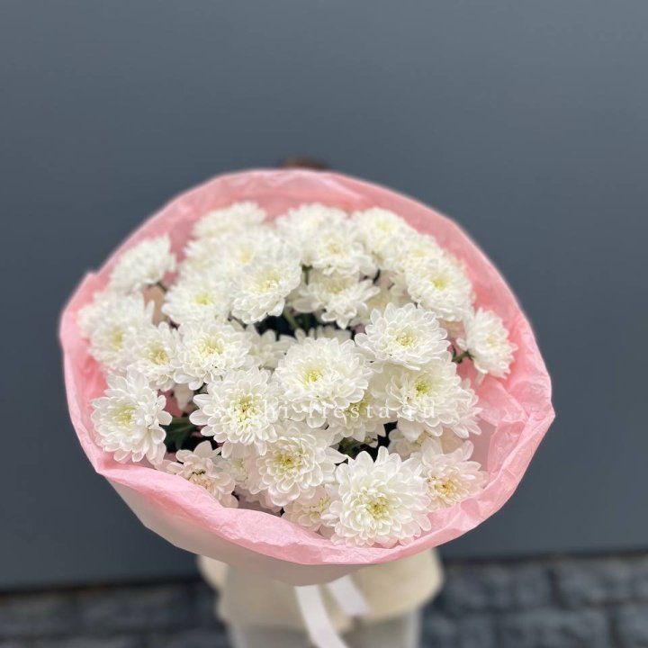  5 хризантем  в Саратове