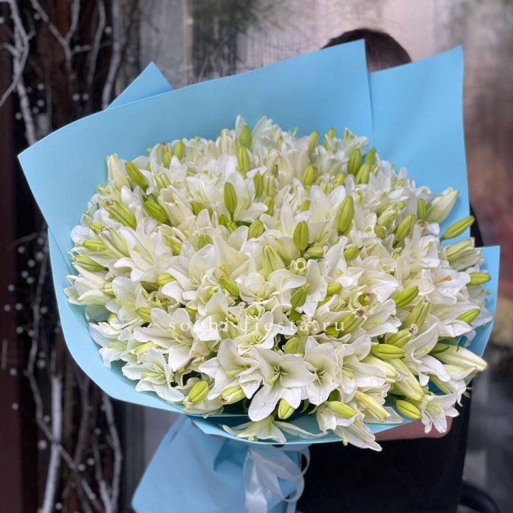 51 лилия в оформлении в Саратове