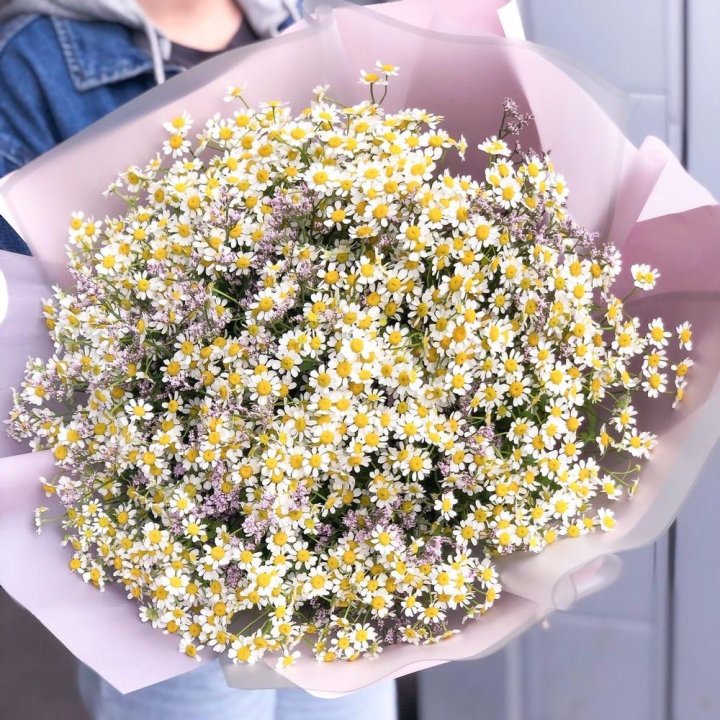 Букет ромашек №1 в Саратове