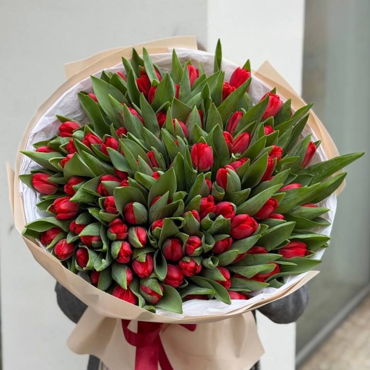 101 красный тюльпан в Саратове