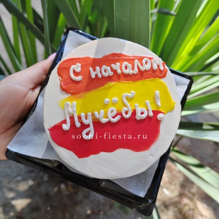 Бенто-торт "С началом учёбы"" в Саратове