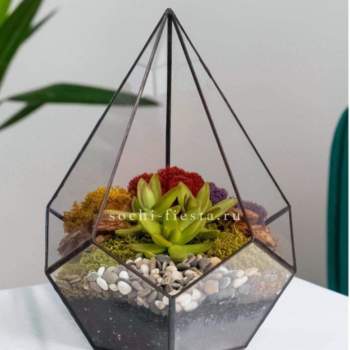 Флорариум Капля с суккулентом в Саратове