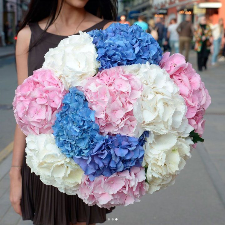 Букет гортензий "Инь-Янь" в Саратове