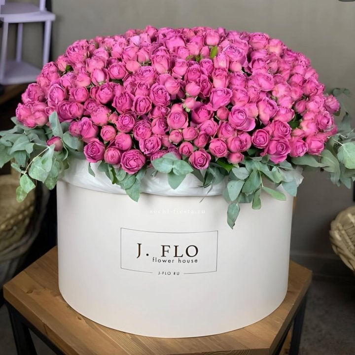 Цилиндр с Мисти Бабблс  в Саратове