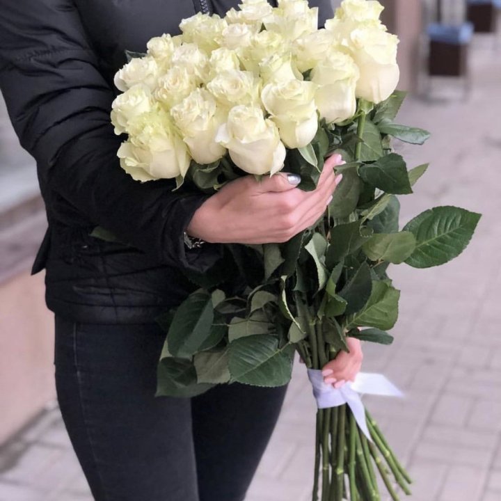 Голландские розы белые в Саратове