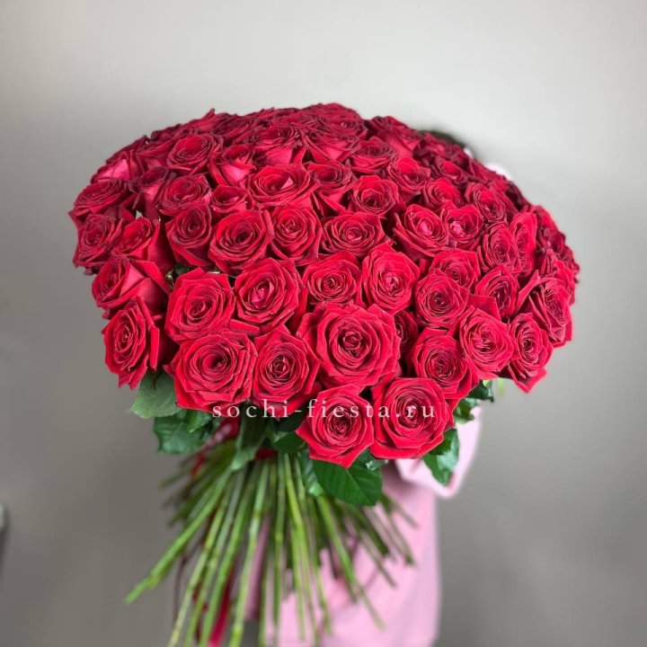 101  голландская роза  в Саратове