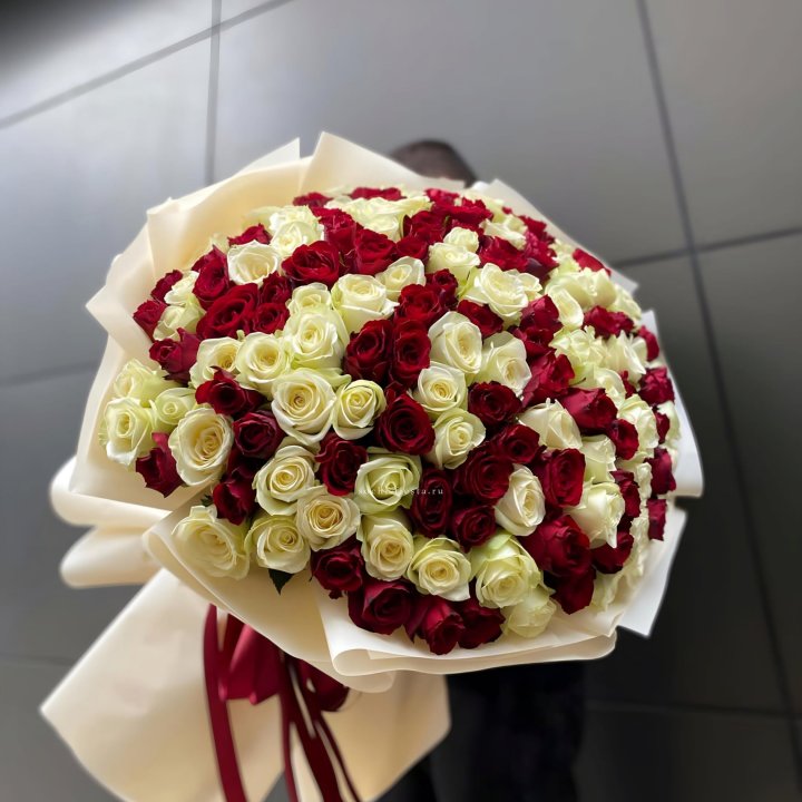 101 высокая импортная роза  в Саратове