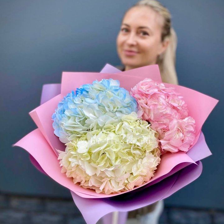 Букет гортензий "Тоника" в Саратове