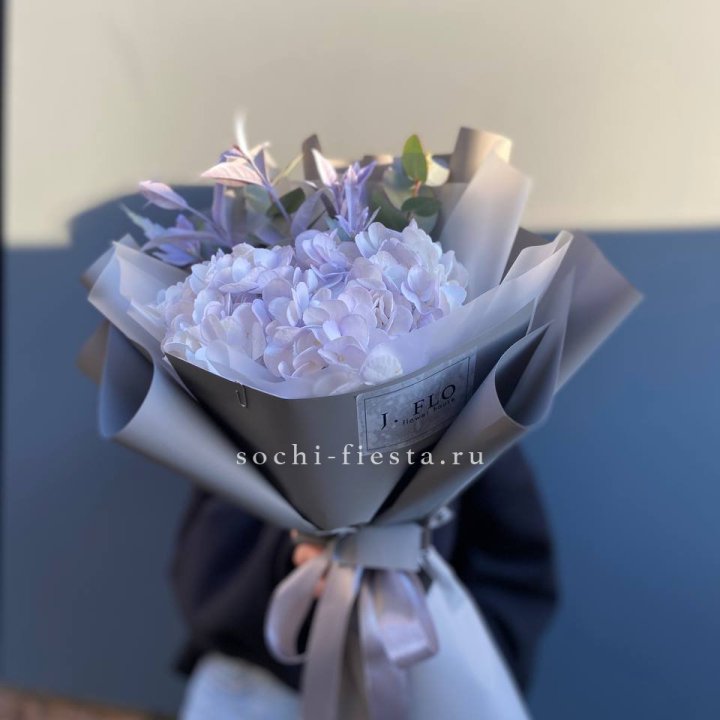 Гортензия "Виолета" в Саратове