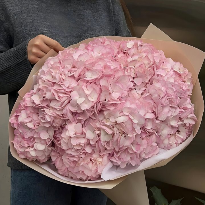 Гортензия  "РОЗЕ" в Саратове