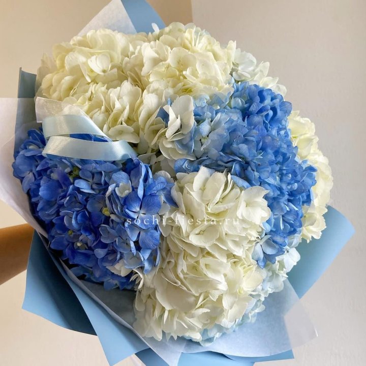 Букет гортензий "Голубая лаза" в Саратове