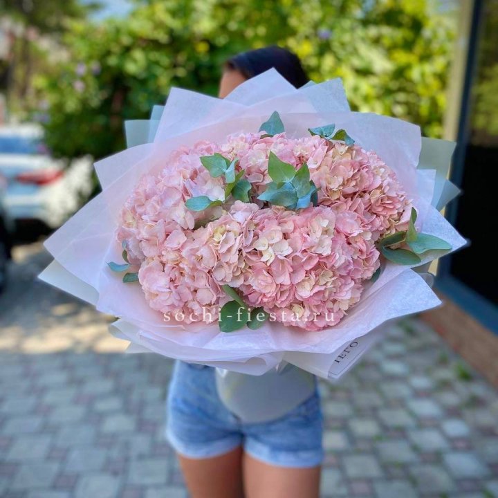 5 розовых гортензий  в Саратове