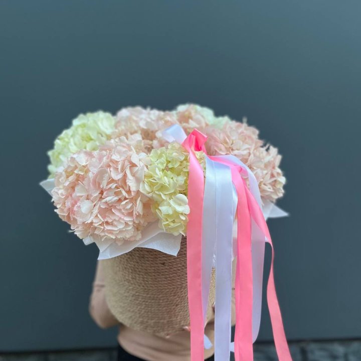 7 гортензий в кашпо в Саратове