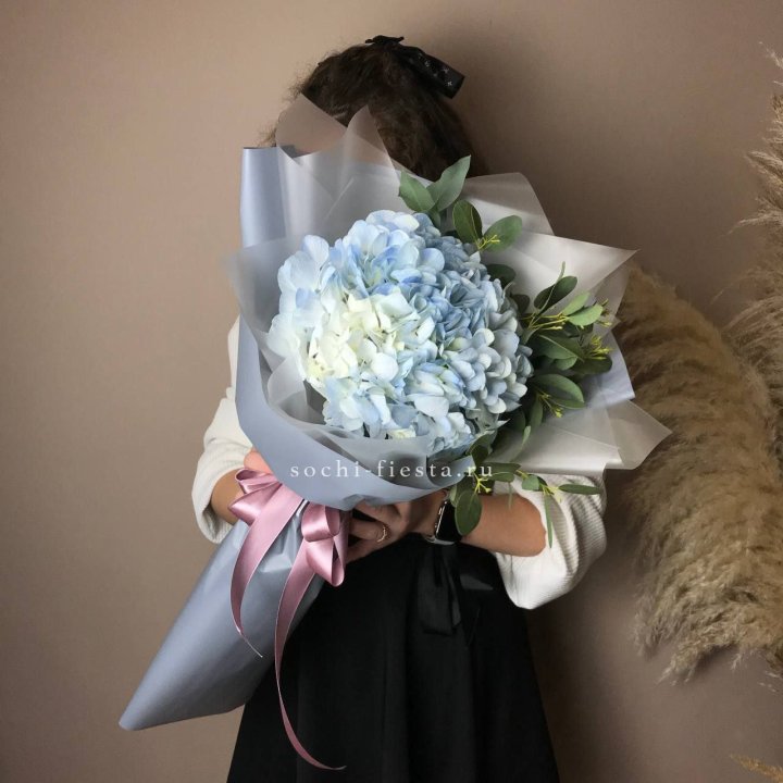 Гортензия Уно в Саратове