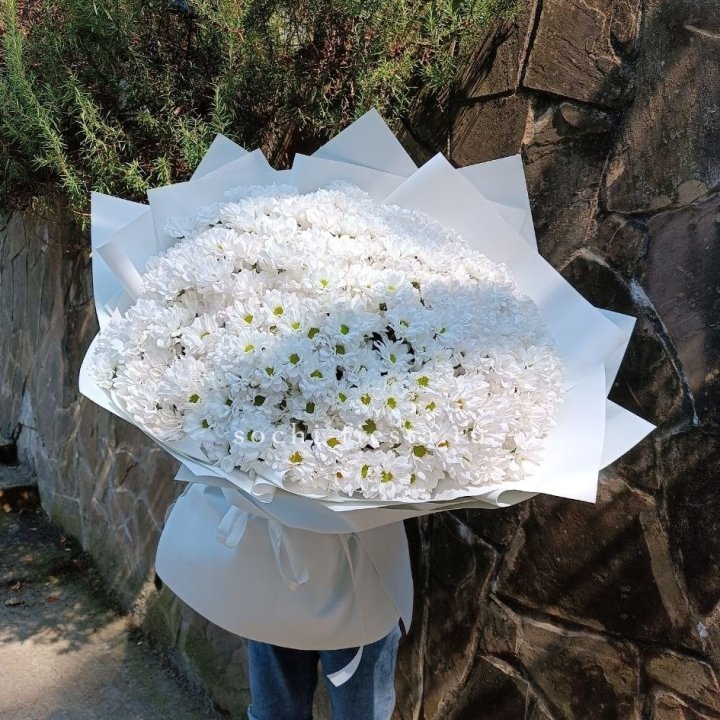 Облако хризантем №2 в Саратове