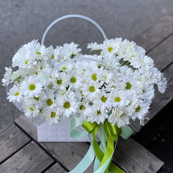 Сумка с хризантемами ромашками в Саратове