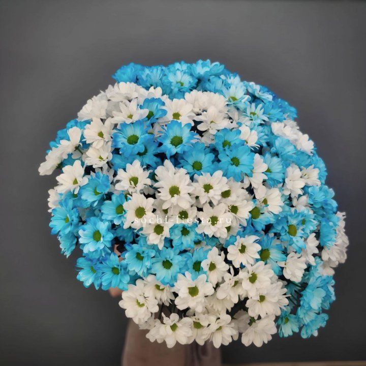  Букет хризантем микс в Саратове