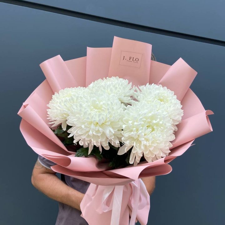 Профитроли №2 в Саратове