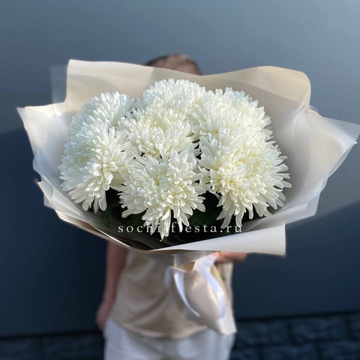 Профитроли в Саратове