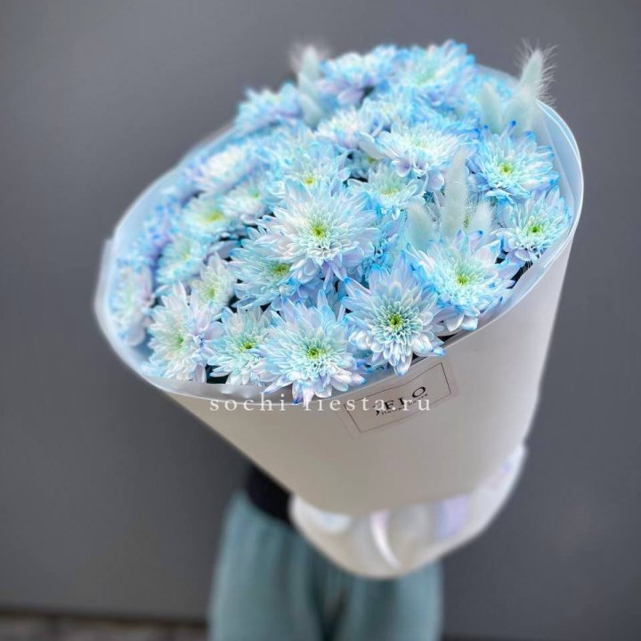  Букет нежно-голубых хризантем  в Саратове
