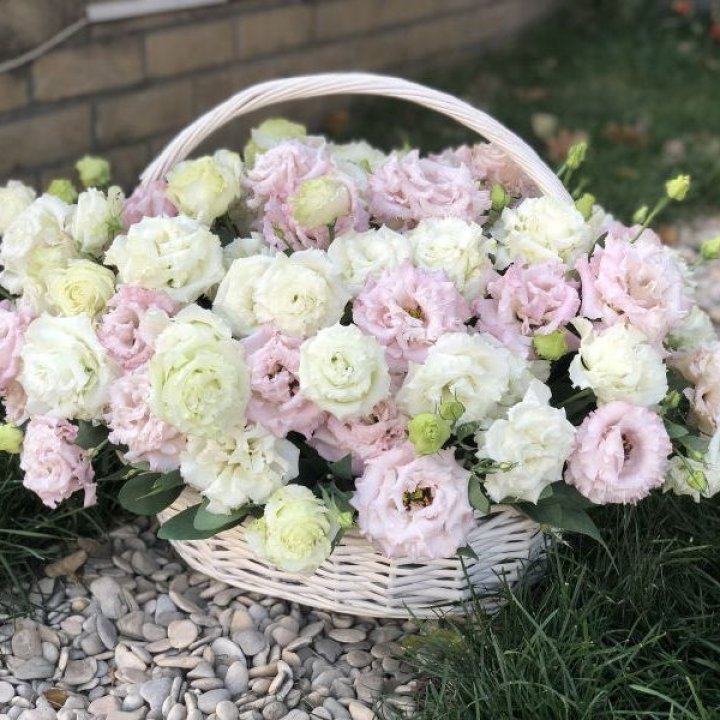 Корзина с эустомой в Саратове