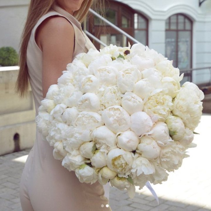 51 белый пион в Саратове