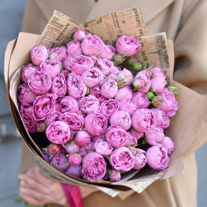 Роза Мисти Баблс в Саратове