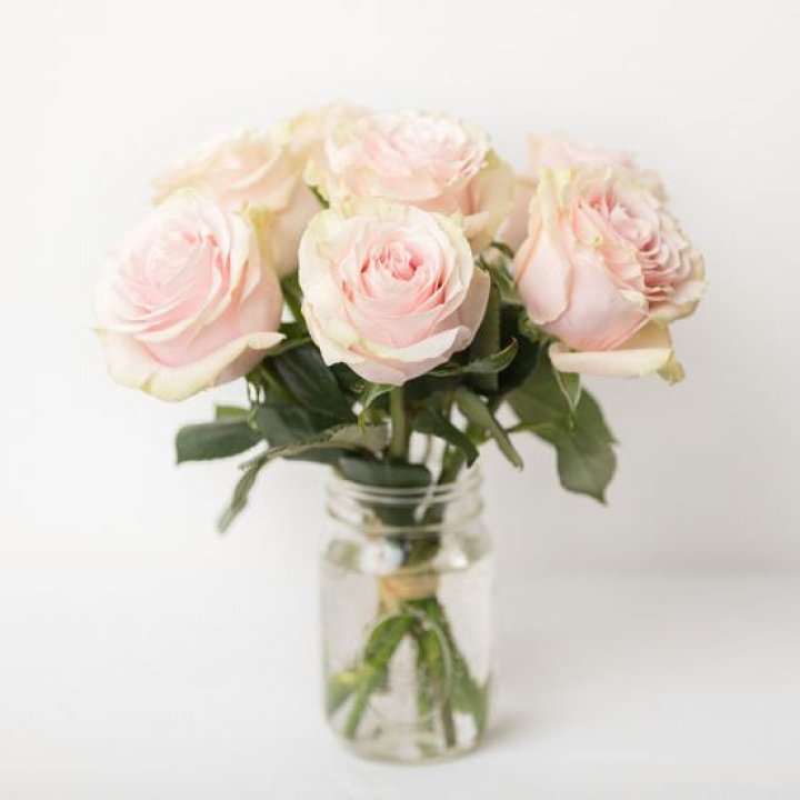 7 кремовых роз в Саратове