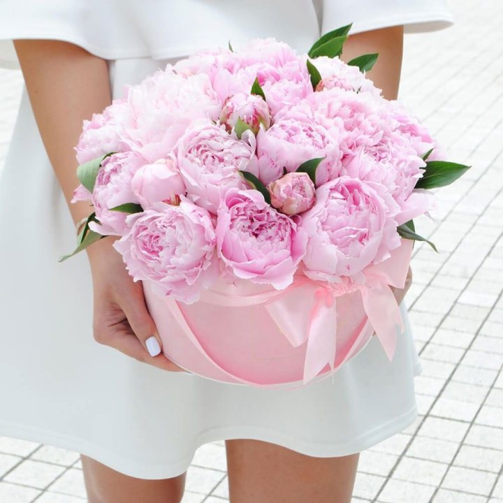 Пионы в шляпной коробке в Саратове