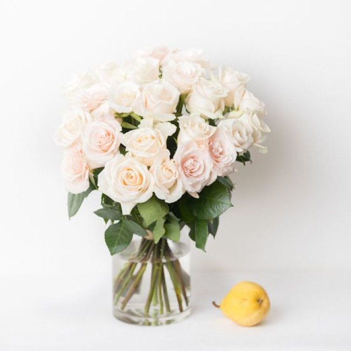 25 кремовых роз в Саратове