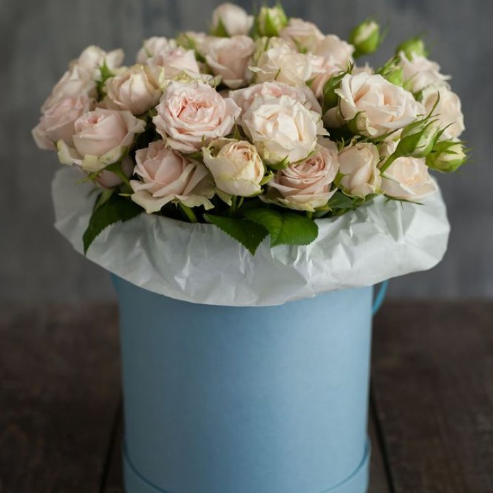 Бокс с бомбастиком в Саратове