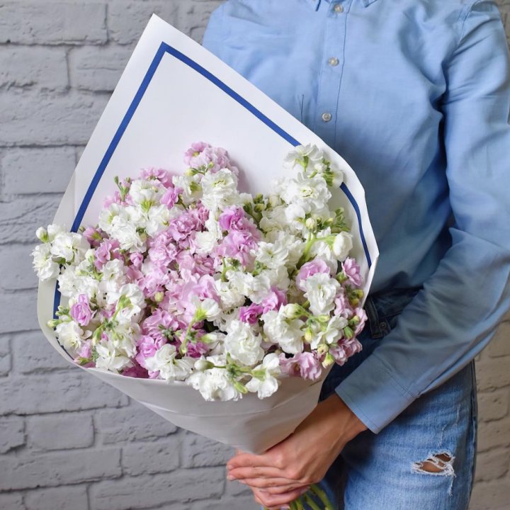 Маттиола в Саратове