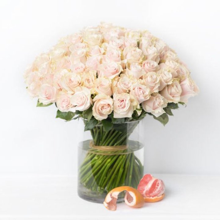 101 кремовая роза в Саратове