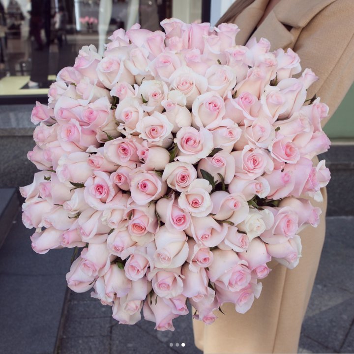 Розы "Пинк бум" в Саратове