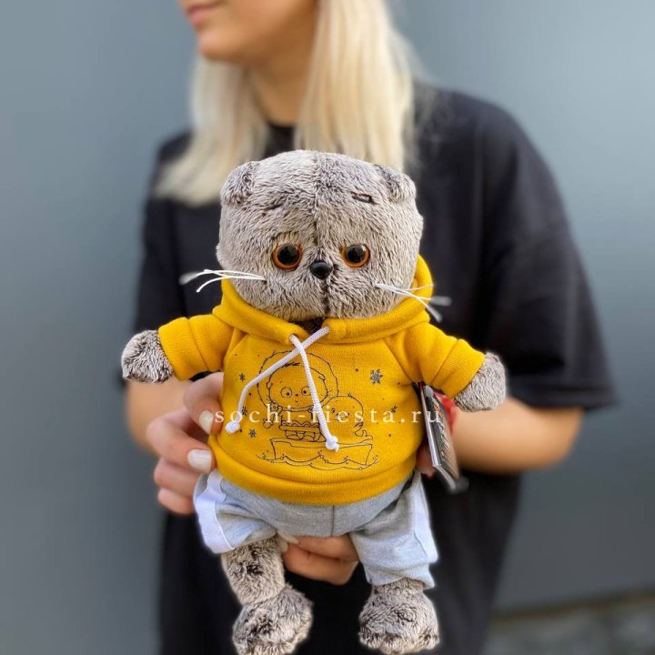 Кот Басик в худи в Саратове